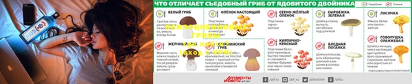 героин Аркадак